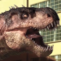 Rio Rex